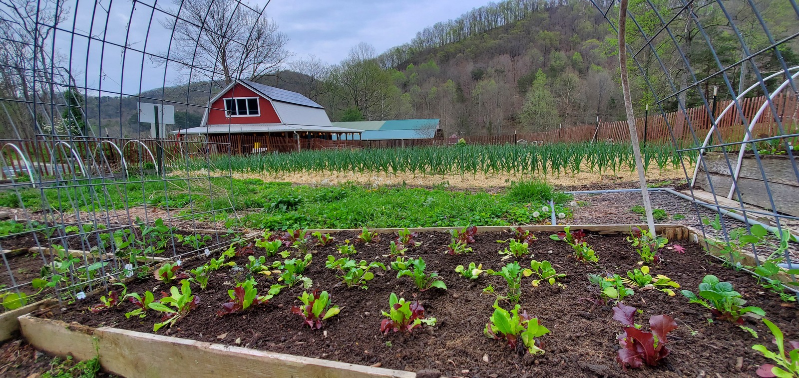 Resized Farmhouse_with_lettuce_1600x758